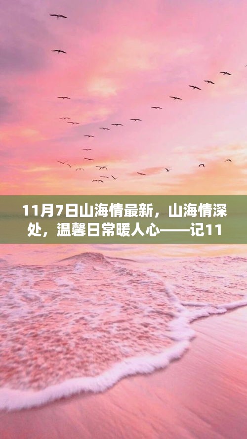 11月7日山海情深处，温馨日常与深厚友情的暖心记录