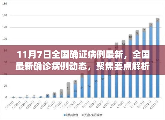 全国最新确诊病例动态解析及聚焦要点（截至11月7日更新）