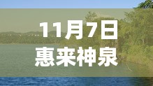 惠来神泉澳角新篇章开启，最新消息揭秘，11月7日动态报道