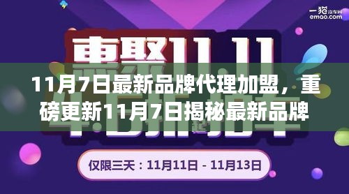 揭秘最新品牌代理加盟商机，开启财富大门，实现创业梦想的一站式解读