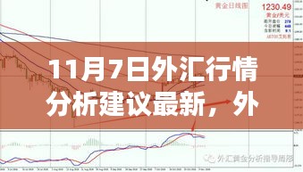 11月7日外汇行情解析与家庭外汇故事，温情日常的外汇风云