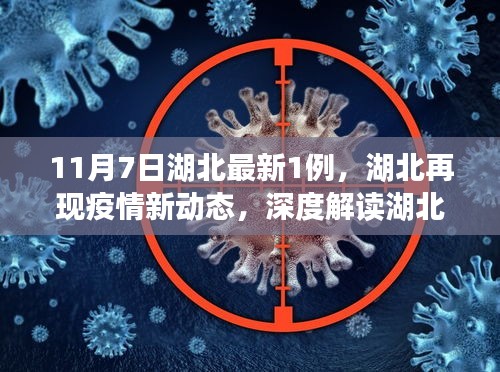 湖北再现疫情新动态，深度解读最新确诊案例及其影响（最新更新）