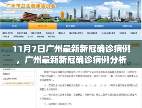 广州最新新冠确诊病例深度解读与竞品对比分析报告（11月7日更新）