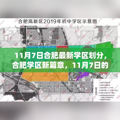 合肥学区新篇章揭秘，11月7日合肥学区划分探秘之旅