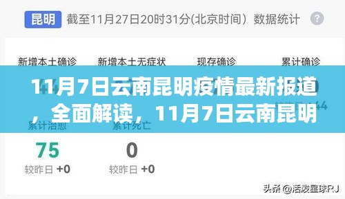 云南昆明疫情最新动态，全面解读与综合评测（11月7日更新）