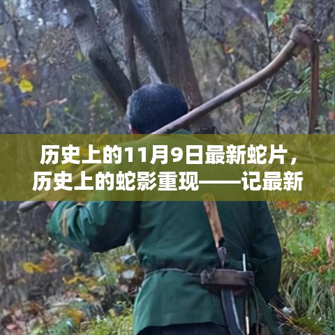 广告纸抽 第649页