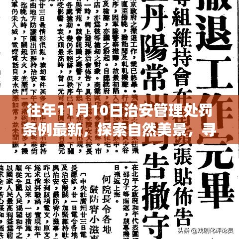 治安管理处罚条例下的自由之旅，探索自然美景与内心平静之路