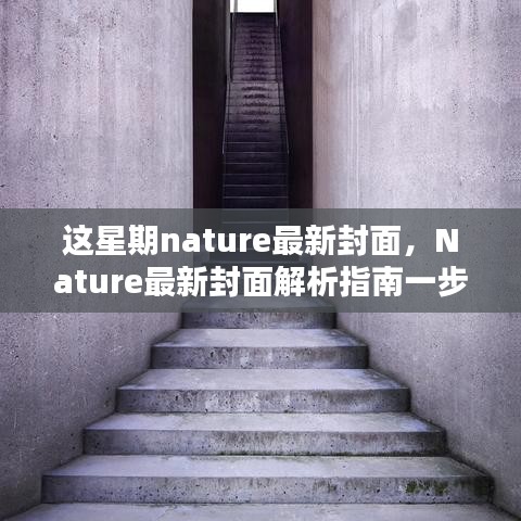 Nature最新封面探索科研美学的奥秘，封面解析指南