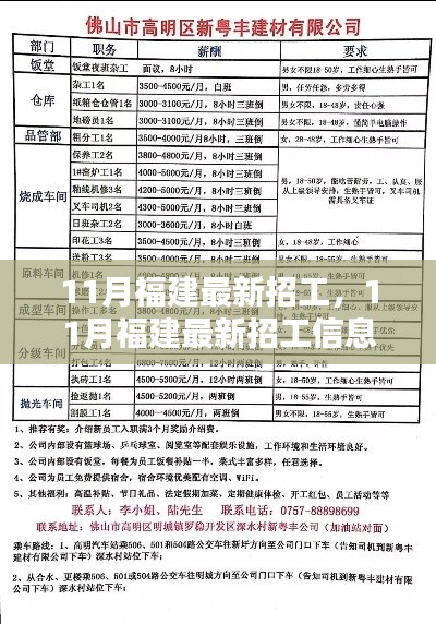 11月福建最新招工信息汇总，热门职位与高薪工作全面解析