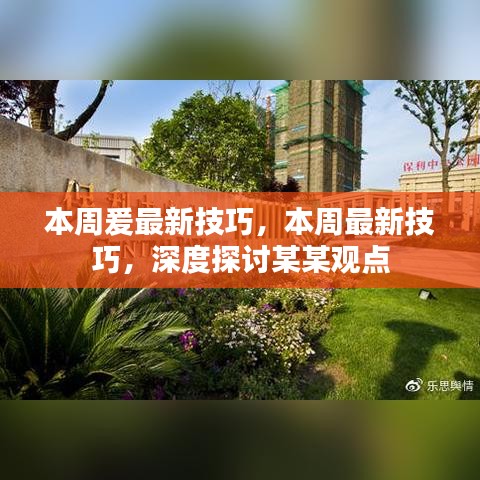 本周最新技巧深度探讨，聚焦某某观点的爱之探索