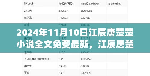 江辰唐楚楚小说2024年最新章节免费阅读，深度解析与评测介绍