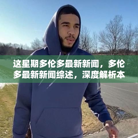 多伦多本周新闻综述，热点事件深度解析与体验分享