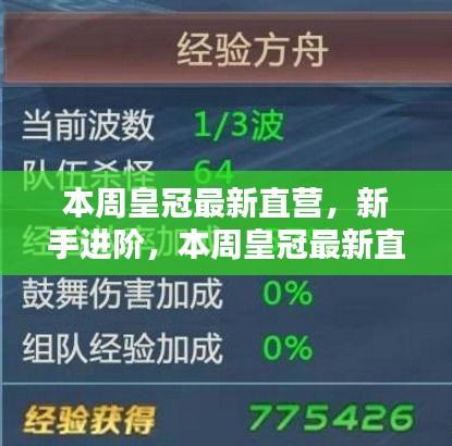 本周皇冠直营新手进阶操作指南