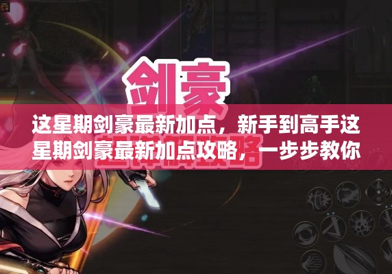 这星期剑豪最新加点攻略，从新手到高手，一步步教你成为剑术大师！