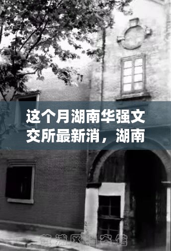 湖南华强文交所隐秘小巷的宝藏小店探秘，独特故事背后的环境揭秘