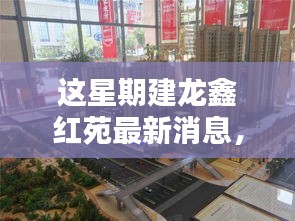 建龙鑫红苑最新动态，本周消息及其多维度思考影响