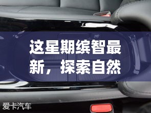 这星期缤智带你探索自然秘境，开启心灵之旅——寻找内心平静之旅