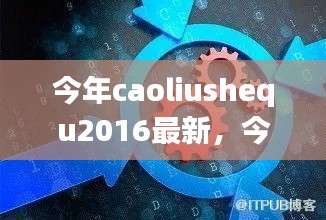 Caoliushequ 2016最新动态，潮流变革与趋势展望