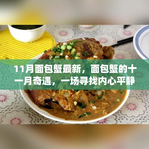 广告纸抽 第594页