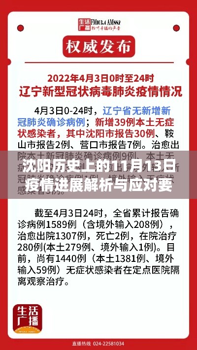 沈阳历史上的11月13日疫情进展解析与应对要点探讨