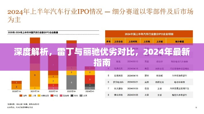 深度解析，雷丁与丽驰优劣对比，2024年最新指南