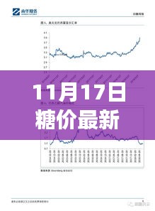 糖价风云背后的温馨故事，友情与家庭的甜蜜日常（11月17日最新消息）