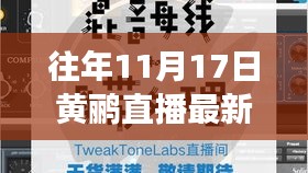 往年11月17日黄鹂直播回顾与最新发展态势探索，成功案例一览