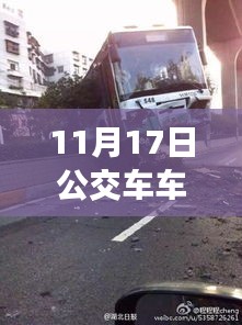 11月17日公交车车祸最新进展深度报道