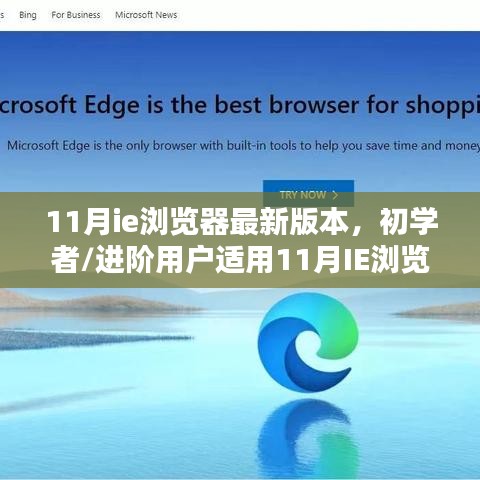 11月IE浏览器最新版本使用指南，从初学者到进阶用户的详细安装与使用步骤