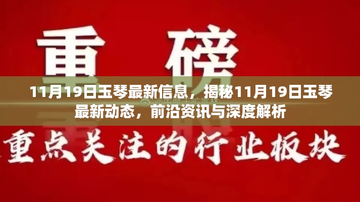 揭秘玉琴最新动态，前沿资讯与深度解析（11月19日更新）