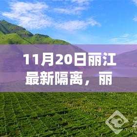 广告纸抽 第522页