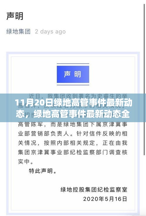 绿地高管事件最新动态全面解析与评测
