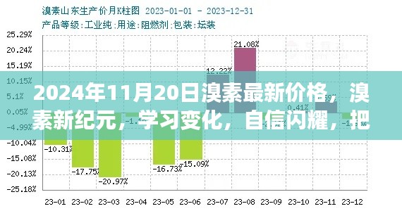 2024年11月20日溴素最新价格揭示，新纪元下的学习变化与未来展望