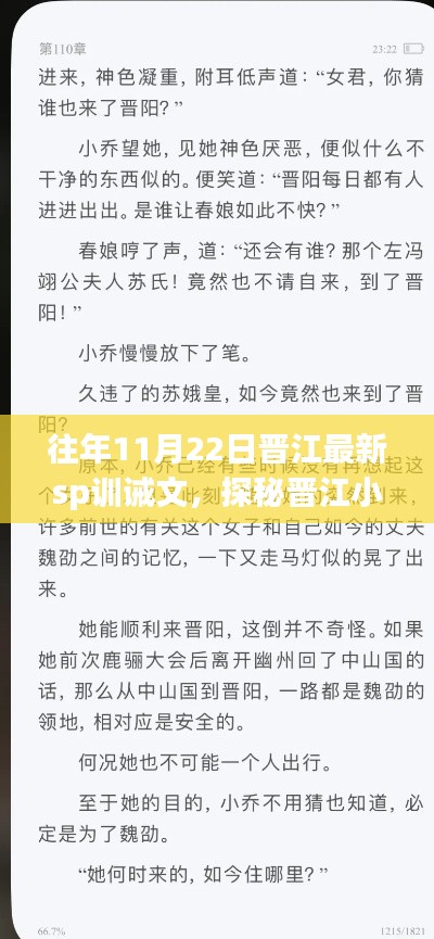 晋江小巷深处的SP训诫文小店，独家记忆下的训诫文化探秘——11月22日特辑