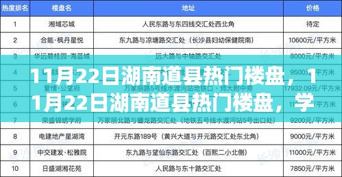 湖南道县热门楼盘，开启人生新篇章，学习变革与自信闪耀之路