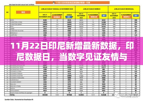 印尼数据日见证友情与温馨的瞬间，最新数据报告发布