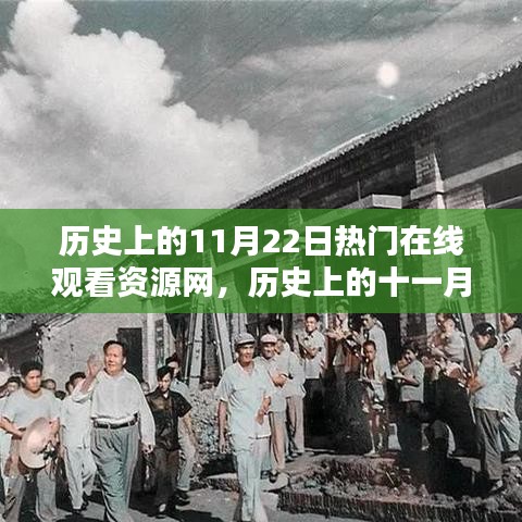 历史上的11月22日，在线观看资源网的辉煌时刻