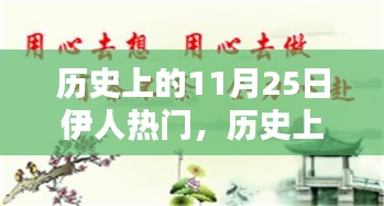 探寻历史上的伊人热门，揭秘11月25日的秘密