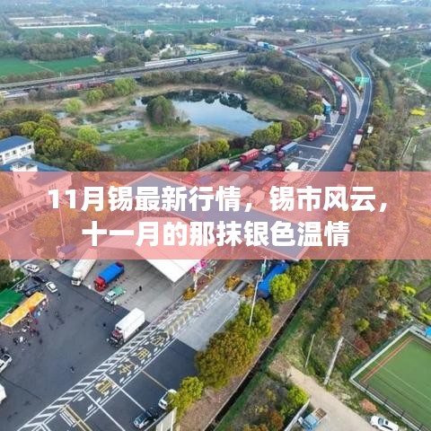 11月锡市行情概览，银色温情闪耀锡市风云