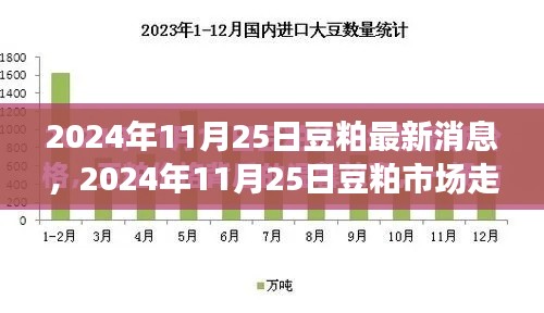 豆粕市场走势分析，多方观点碰撞与个人立场阐述最新消息报道（2024年11月25日）