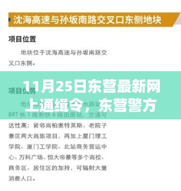 11月25日东营警方最新网上通缉令详解——焦点解读