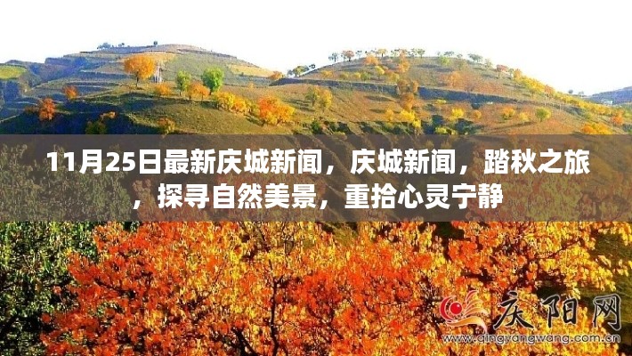 庆城新闻踏秋之旅，探寻自然美景，重拾心灵宁静报道（11月25日最新资讯）