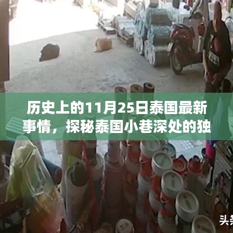 泰国小巷深处的独特小店，历史与美食的交融于11月25日这一天