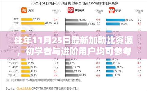 加勒比资源获取全攻略，从初学者到进阶用户的探索步骤详解（往年11月25日最新资源）