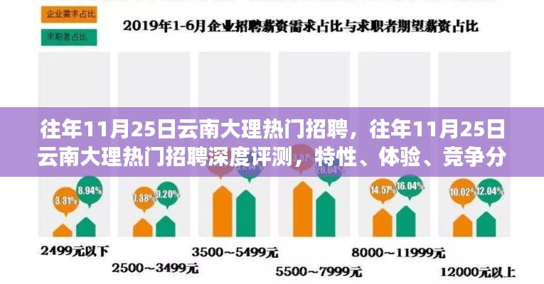 往年11月25日云南大理热门招聘深度解析，特性、体验、竞争分析与目标用户洞察