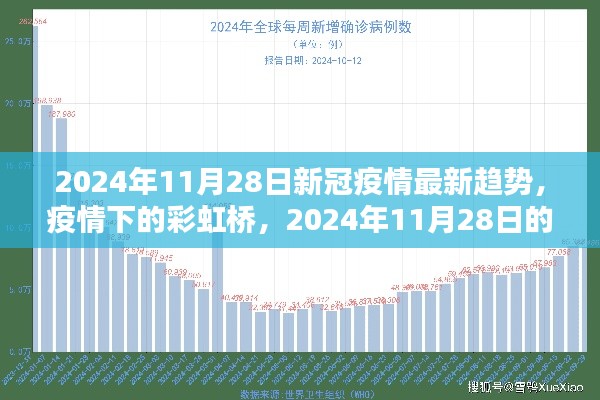 2024年11月28日新冠疫情最新趋势，疫情下的彩虹桥，2024年11月28日的温馨日常