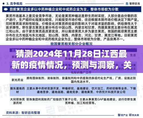 关于江西未来疫情发展的预测与洞察，聚焦2024年11月28日的疫情趋势探讨