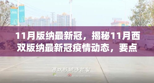 揭秘西双版纳11月最新疫情动态，深度解读与要点分析