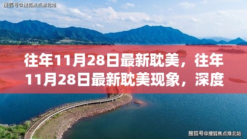 往年11月28日最新耽美现象深度解析与观点阐述，深度探讨与阐述耽美的魅力与趋势