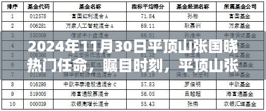 平顶山张国晓热门任命揭晓，瞩目时刻，张国晓未来展望（日期为2024年11月30日）